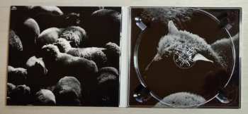 CD EA80: Mehr Schreie...