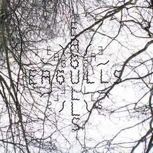 Album Eagulls: Nerve Endings