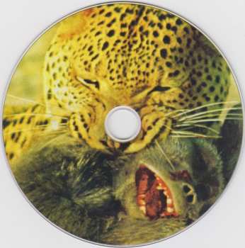 CD Eat Skull: Wild And Inside 236773