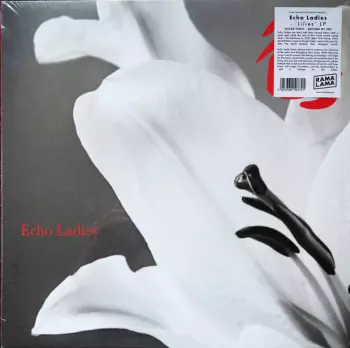 Echo Ladies: Lilies