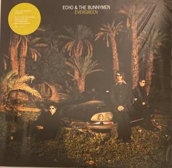 LP Echo & The Bunnymen: Evergreen LTD | CLR 446090