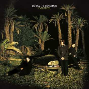 CD Echo & The Bunnymen: Evergreen  440712