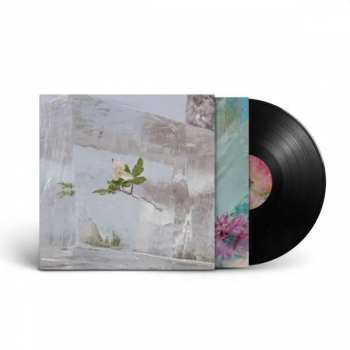LP Efterklang: Windflowers 75177