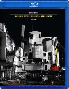 Eivind Buene: Possible Cities / Essential Landscapes
