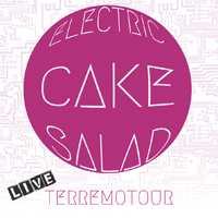 Album Electric Cake Salad: Terremotour