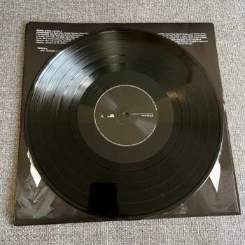 LP Elefantes: La Forma de Mover Tus Manos