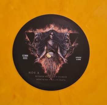 LP Eleine: Acoustic In Hell LTD | CLR 435212