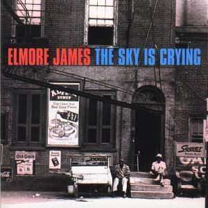 CD Elmore James: The Sky Is Crying 185860