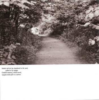 CD Eluvium: Talk Amongst The Trees