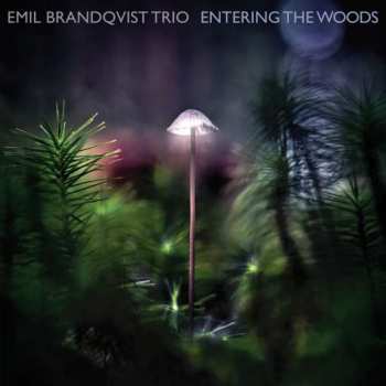 Album Emil Brandqvist Trio: Entering The Woods
