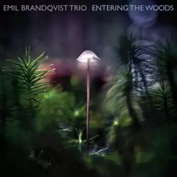 Emil Brandqvist Trio: Entering The Woods