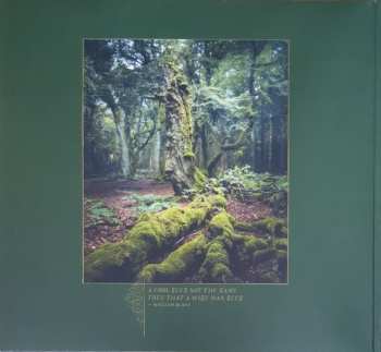 2LP Empyrium: Über Den Sternen CLR | LTD