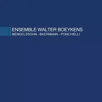 Ensemble Walter Boeykens: Untitled