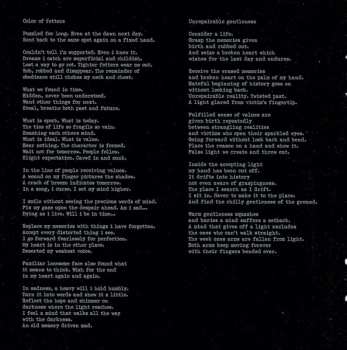 CD Envy: A Dead Sinking Story