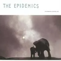 Epidemics: Shankar