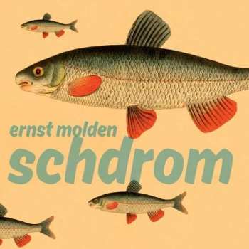 Album Ernst Molden: Schdrom