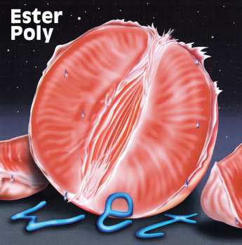 CD Ester Poly: Wet 266826