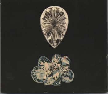 CD Eternal Summers: Silver