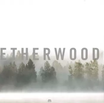 Etherwood: In Stillness