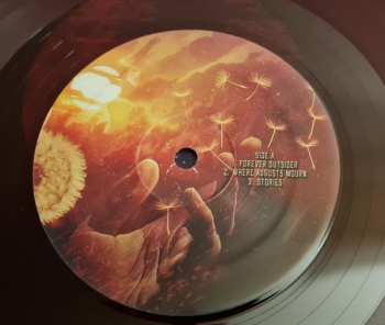 2LP Evergrey: Escape Of The Phoenix LTD | CLR 393527