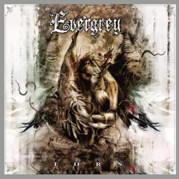 CD Evergrey: Torn DIGI 36969
