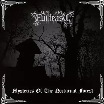 Mysteries Of The Nocturnal Forest