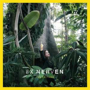 Album Ex Nerven: Critique