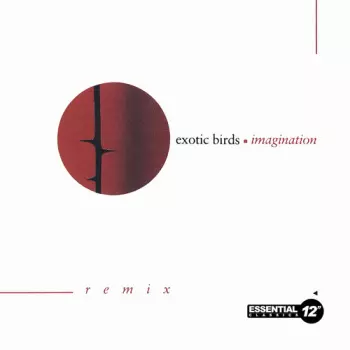 Imagination (Remix)