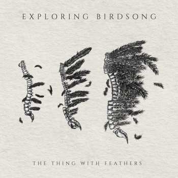 Album Exploring Birdsong: The Thing With Feathers