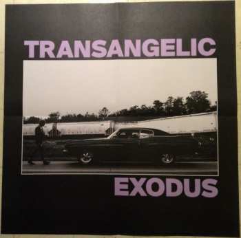 LP Ezra Furman: Transangelic Exodus LTD | CLR 136845