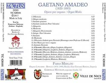 CD Fabio Merlini: Opere Per Organo (Organ Works) 348028