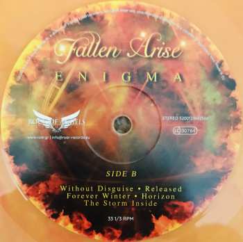 LP Fallen Arise: Enigma LTD | CLR 128388