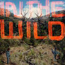 Album FaltyDL: In The Wild