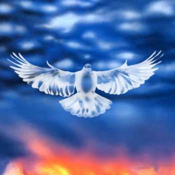 Album FaltyDL: Mission Barnhus