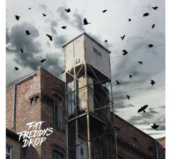 Album Fat Freddy's Drop: Blackbird Returns