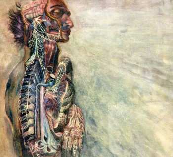 Album Fear And The Nervous System: Fear And The Nervous System