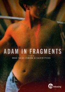Album Feature Film: Adam In Fragments