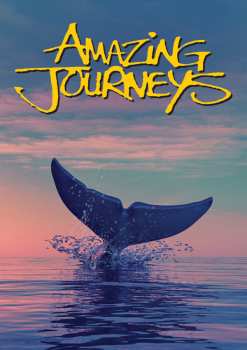Album Feature Film: Amazing Journeys