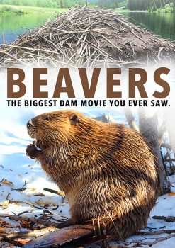 Album Feature Film: Beavers