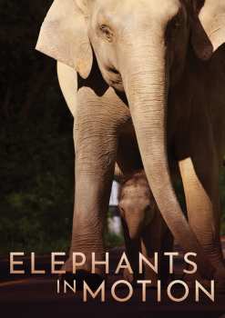 Album Feature Film: Elephants In Motion