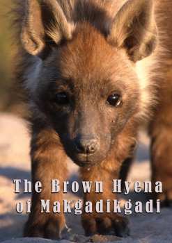 Album Feature Film: The Brown Hyena Of Makgadikgadi