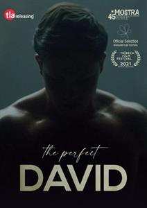 Album Feature Film: The Perfect David