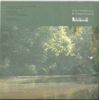 SP Fennesz: Transition LTD