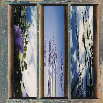 Album Fernando Viciconte: Dreams Of The Sun And Sky