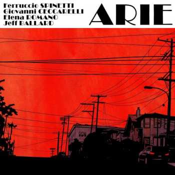Album Ferruccio Spinetti: Arie