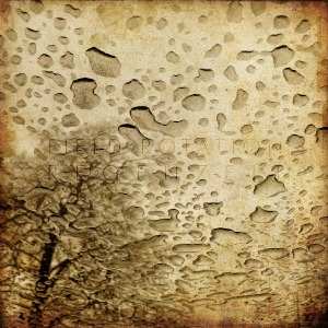 Album Field Rotation: Regenzeit