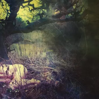 The Apple Never Falls Far From The Tree