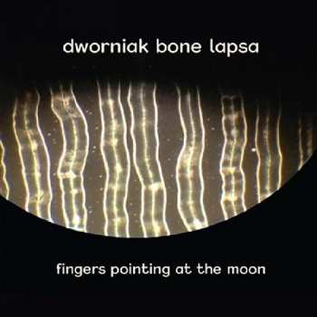 Album Dworniak Bone Lapsa: Fingers Pointing At The Moon