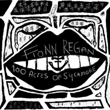 Album Fionn Regan: 100 Acres Of Sycamore