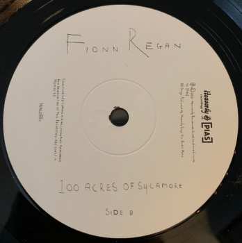 LP Fionn Regan: 100 Acres Of Sycamore LTD 260944